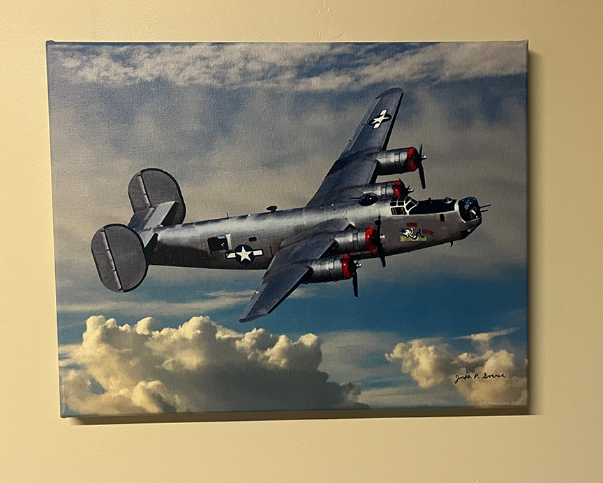 Bugs Buggy - 11" x 14" canvas print