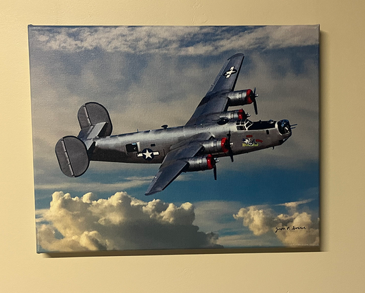 Bugs Buggy - 11" x 14" canvas print