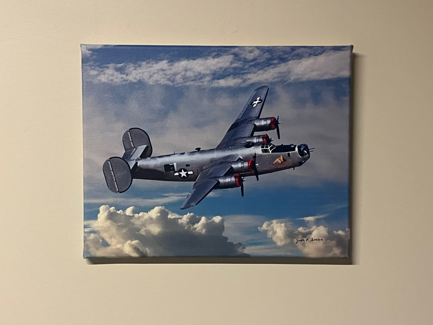 Well Developed - 11" x 14" canvas print