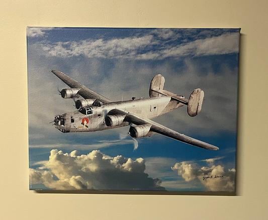 Nancy - 11" x 14" canvas print