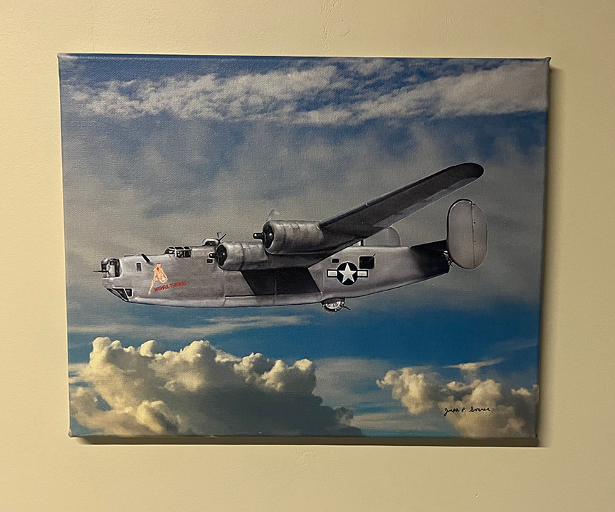 Wishful Thinkin - 11" x 14" canvas print