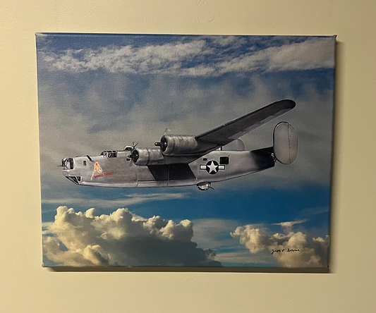 Wishful Thinkin - 11" x 14" canvas print